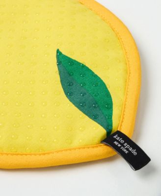 kate spade new york Lemon Party and Spring Gingham Pot Holder 2-Pack 