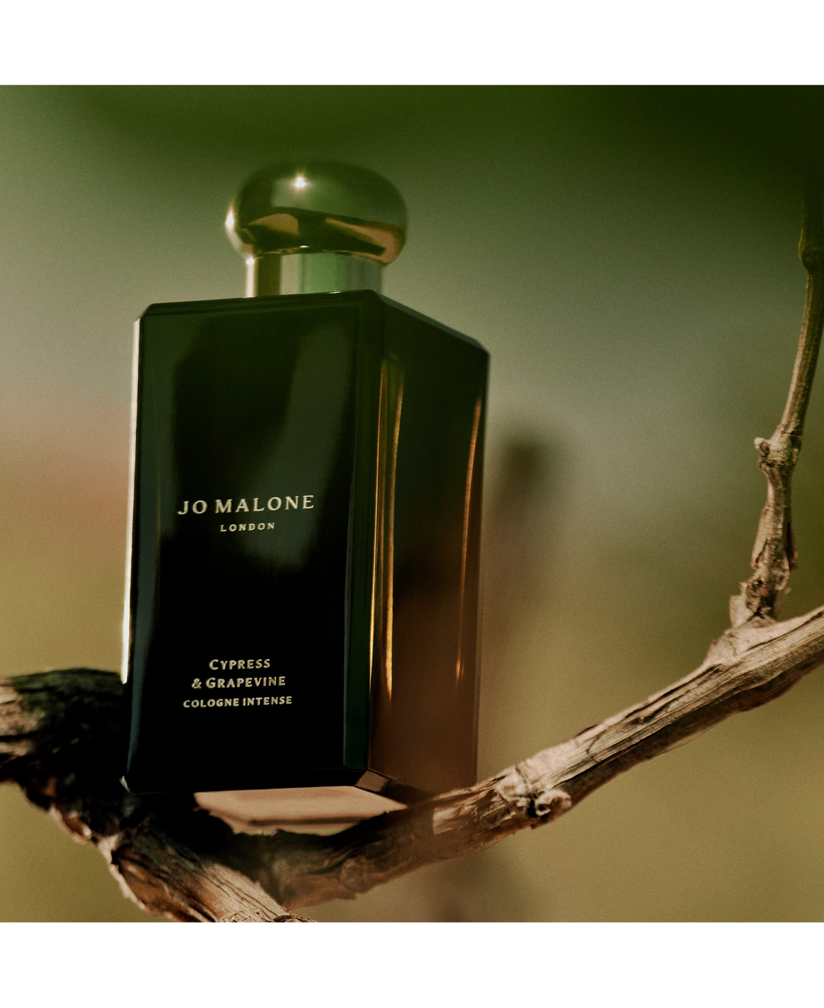 Jo Malone London 2-pc. Cypress And Grapevine Cologne Intense Gift Set In Transparent