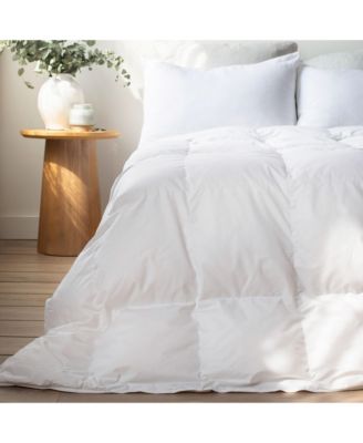 All Season 700 fill Power Luxury White Duck Down Comforter - Twin/Twin XL