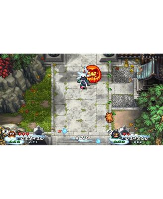 Pocky & Rocky Reshrined Switch