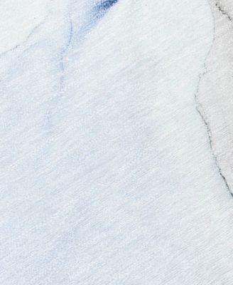 Chantille Machine Washable ACN515 9'x12' Area Rug