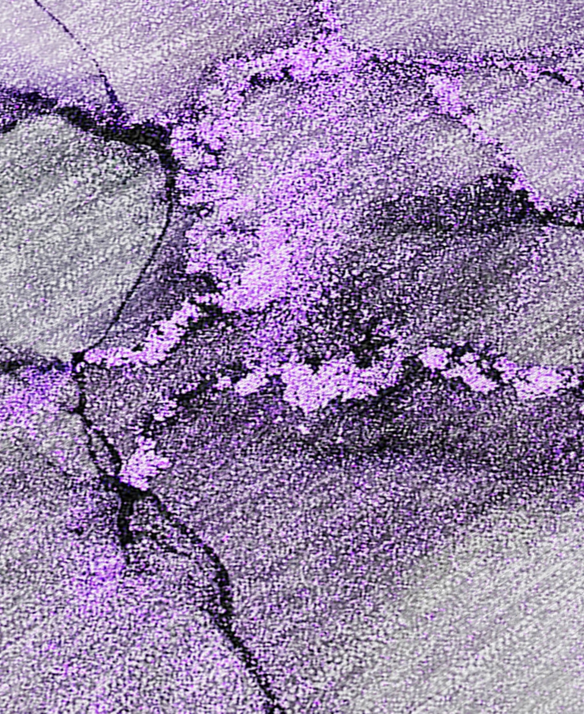 Addison Chantille Machine Washable Acn520 8'x10' Area Rug In Purple