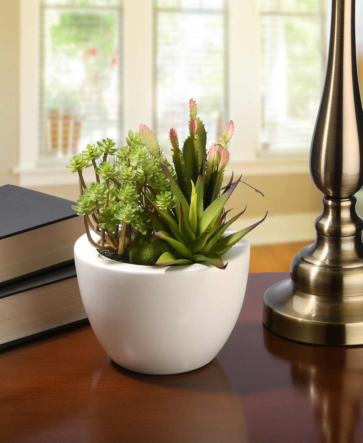 National Tree Company 7.5 Succulent Plants In Green