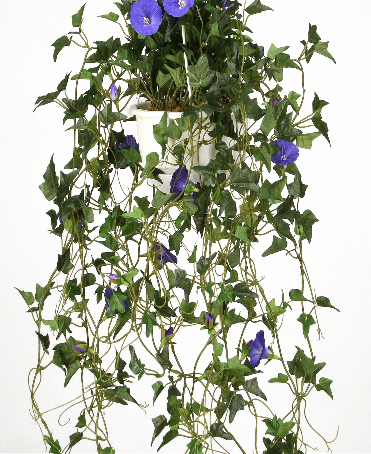 National Tree Company 44 Hanging Morning Glory Plant In Green