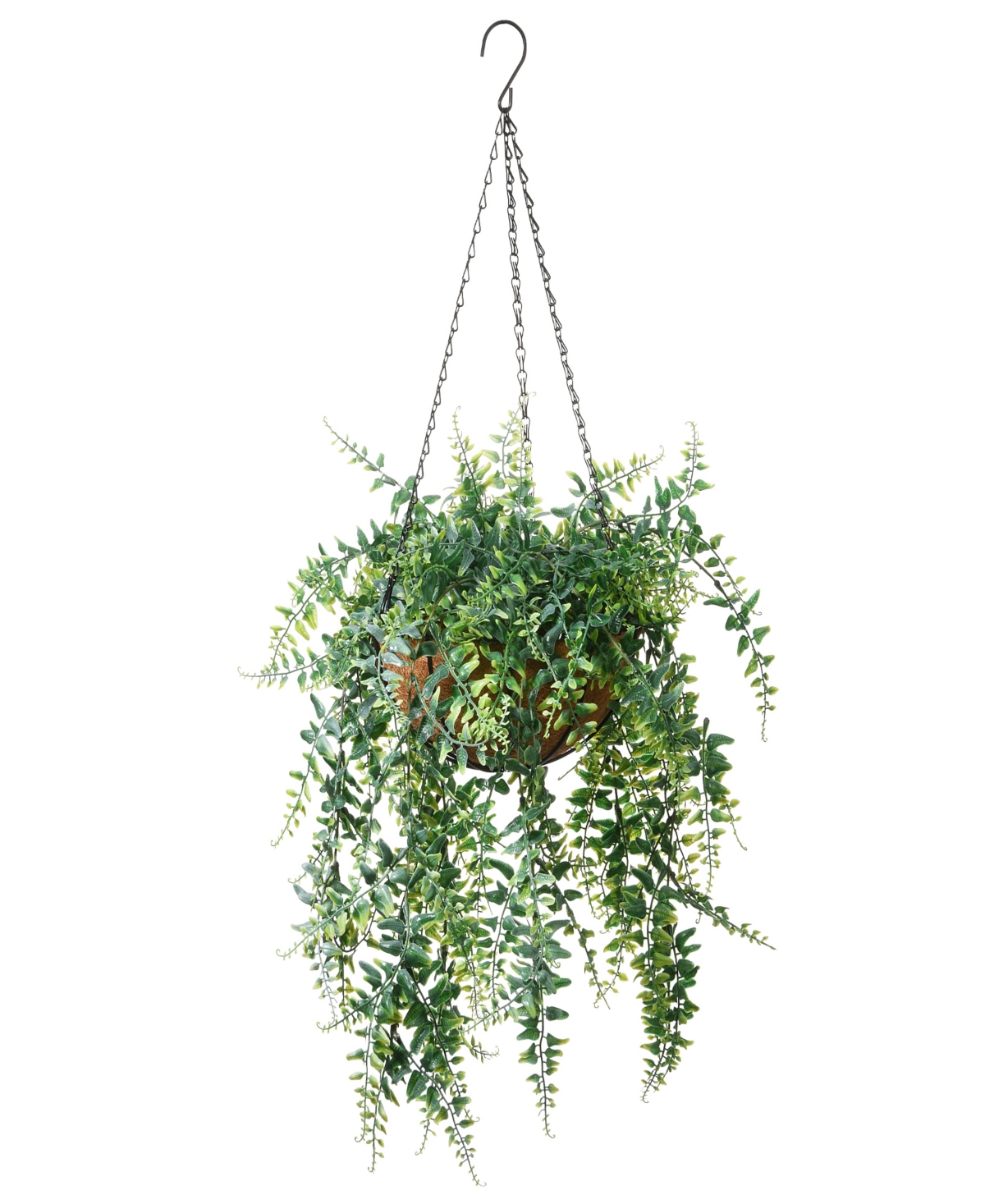 21 Fern Leaves Hanging Basket - Green