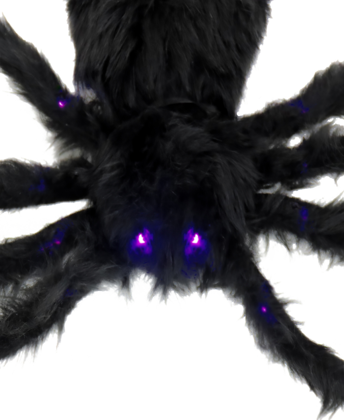National Tree Company 50" Halloween Spider With Led Lights In Black