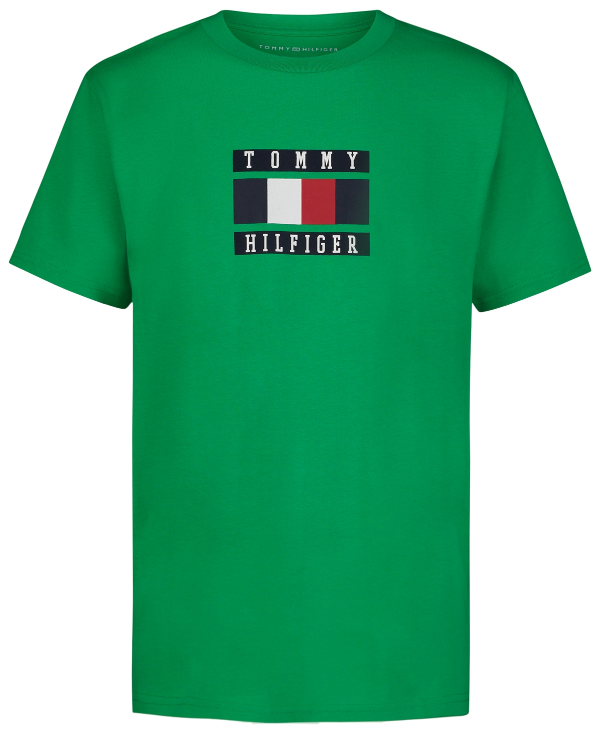 Tommy Hilfiger Kids' Little Boys Global Stripe Block Logo Graphic T-shirt In Bright Gre