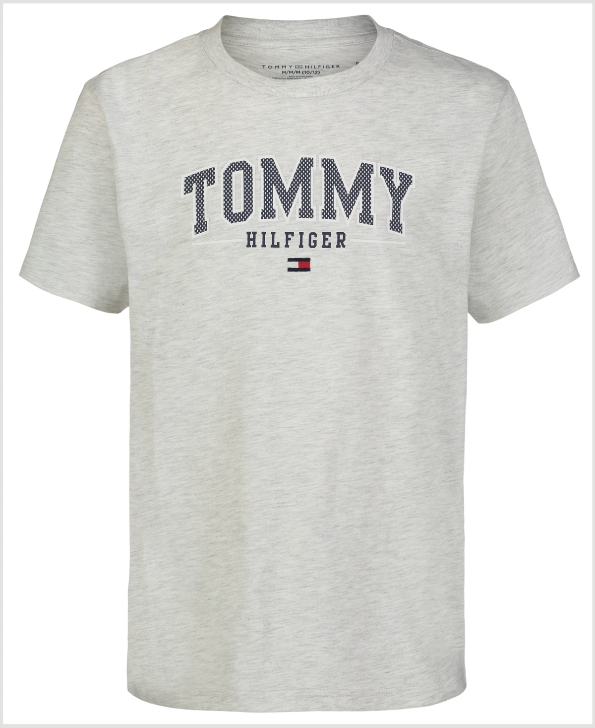 Tommy Hilfiger Kids' Toddler Boys Arch Overwrite Logo Graphic T-shirt In Oatmeal He