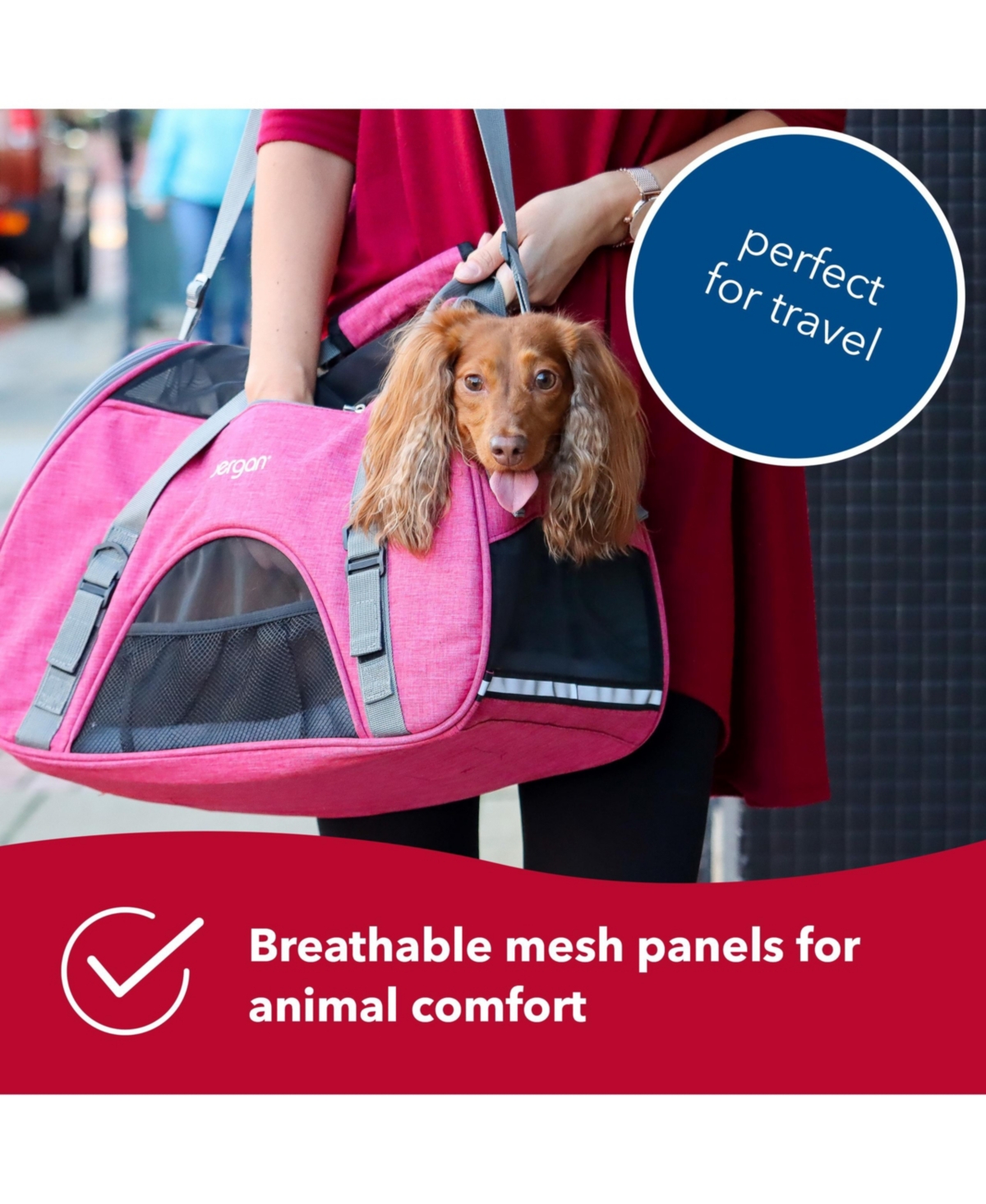 Coastal Pet Bergan - Comfort Carrier for Cat, Dog and Other Pets - Heather Berry (16 Inches)