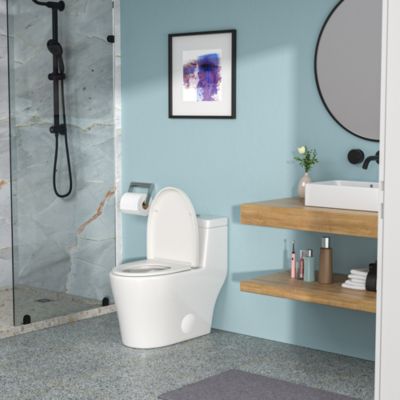 Ceramic One Piece Toilet, Dual Flush With Soft Closing Seat 0000