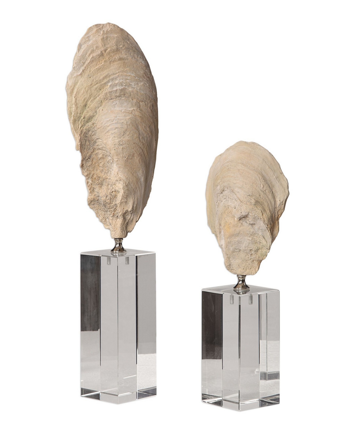 Uttermost Oyster Shell Sculptures, Set Of 2 In White