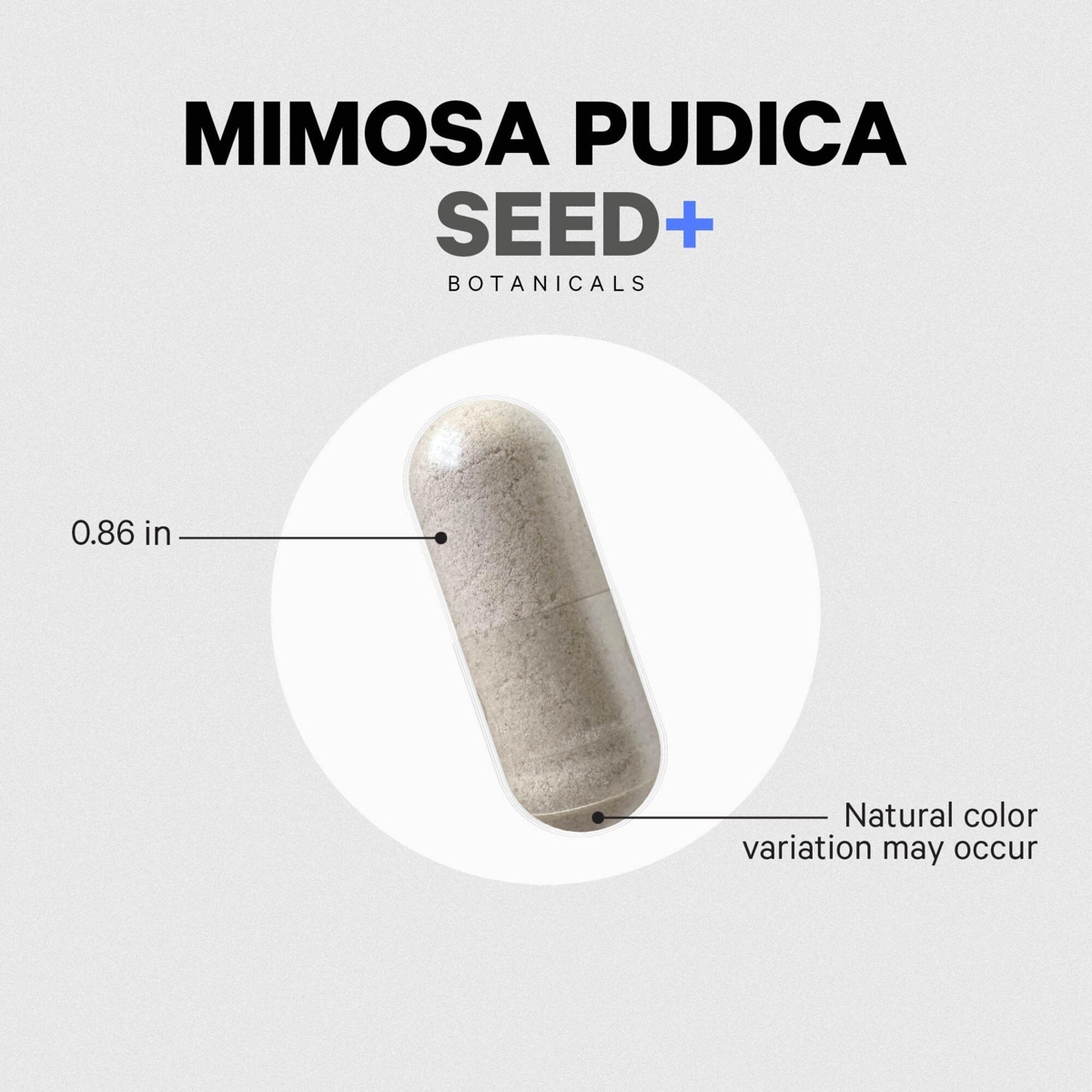 Codeage Organic Mimosa Pudica Seed Capsules - Mimosa Pudica Seeds Supplement - Black Walnut, Cloves, Vidanga, Neem, BioPerine - All in One - Sensitive