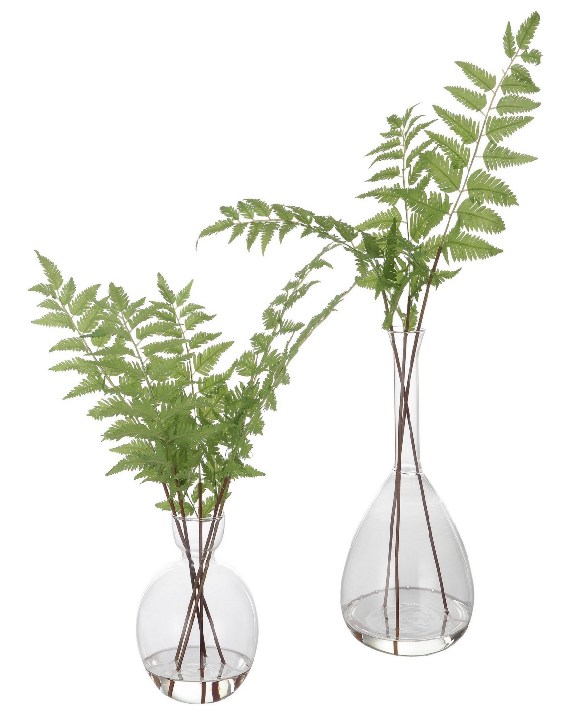 Uttermost Set Of 2 Country Ferns In Green