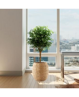 Round Storage Basket with Lid, Natural - Handwoven Water Hyacinth Hamper Organizer for Laundry, Blankets, Plants