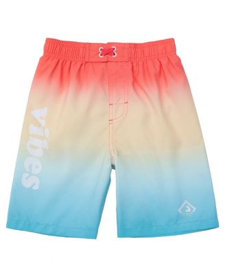 Toddler Boys Swim Trunks with Mesh Liner UPF 50+