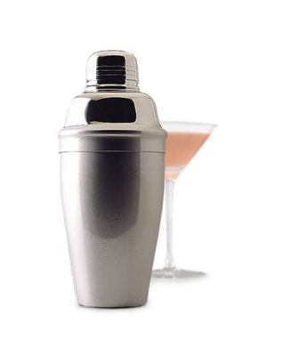 Endurance Stainless Steel Cocktail Shaker 18 Ounce