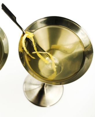 Endurance Martini Glass 2 Piece Set 4.5x7"