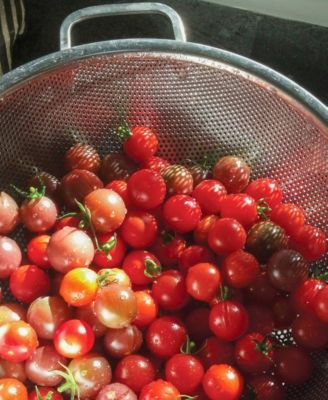 Endurance Precision Pierced Stainless Steel 5 Quart Colander