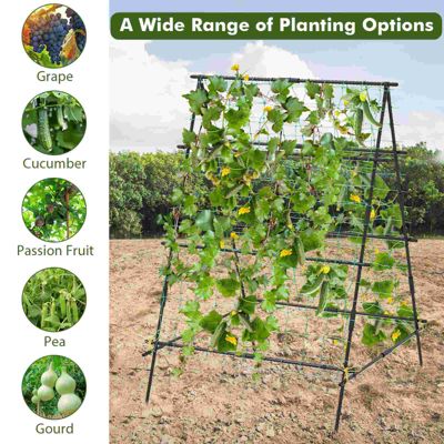 Cucumber Trellis Foldable Garden Tunnel Trellis with Adjustable Auxiliary Clips