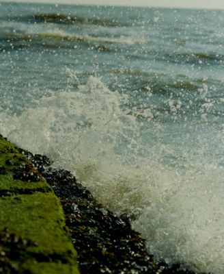 Wood Sage & Sea Salt Travel Candle, 2.1 oz.