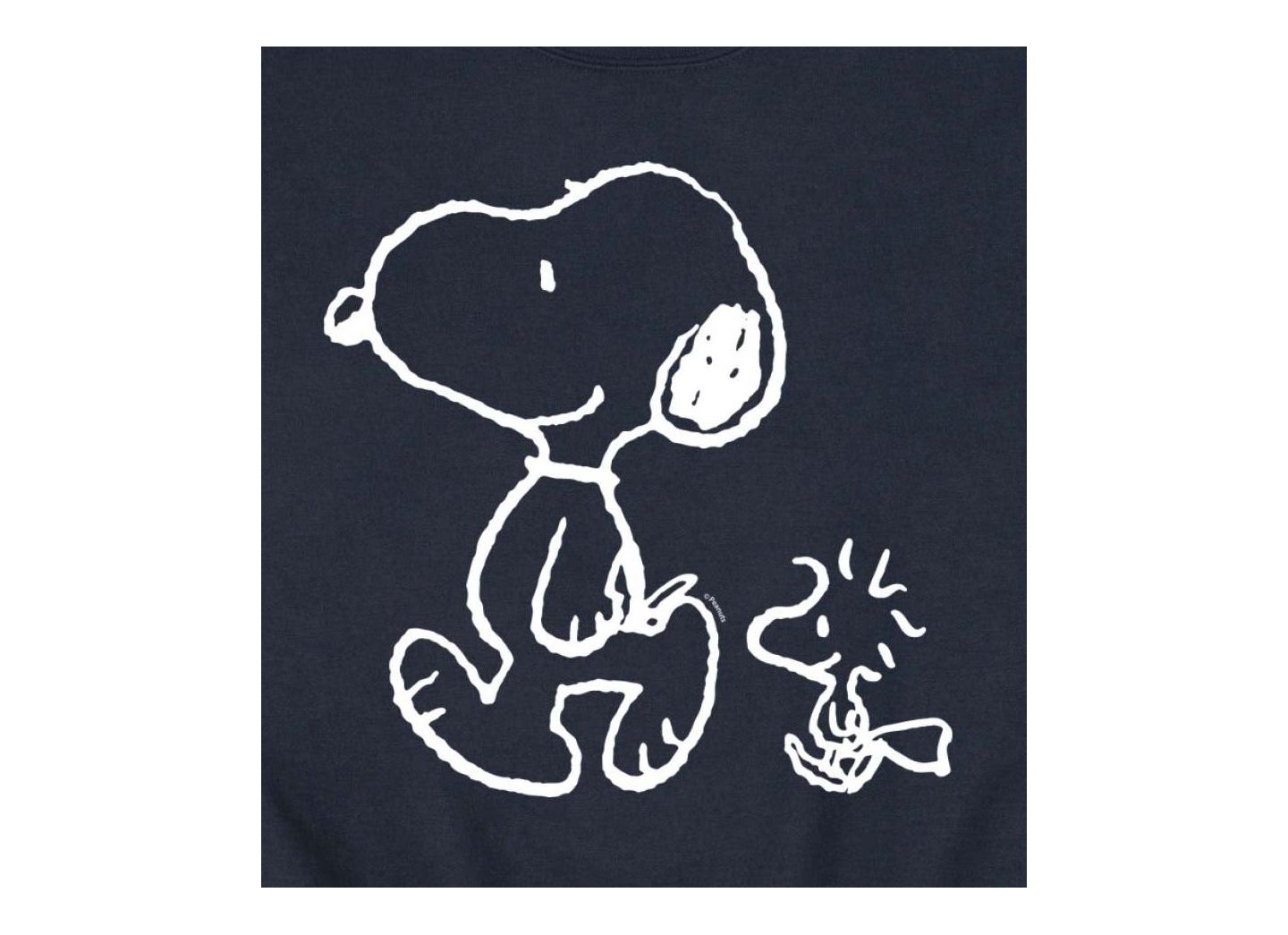 Мужской топ AIRWAVES Hybrid Apparel Snoopy Woodstock Walk Crew Fleece, цвет: Чёрный — фото 5