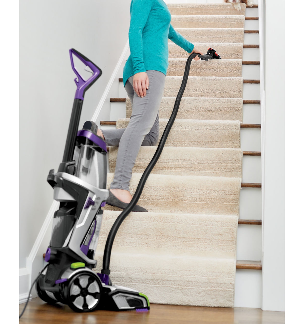 Shop Bissell Proheat 2x Revolution Pet Pro Plus Carpet Cleaner In Gray With Black And Purple Accents