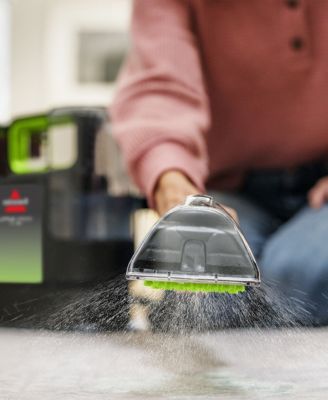 Little Green Max Pet Portable Carpet Cleaner