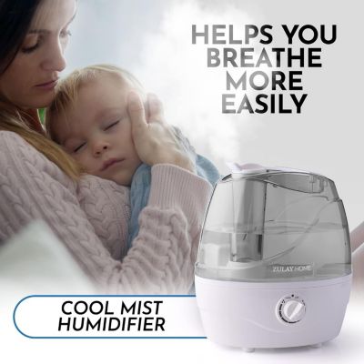 0.66-Gallon, 2.5 Liter Cool Mist Ultrasonic Humidifier for Home