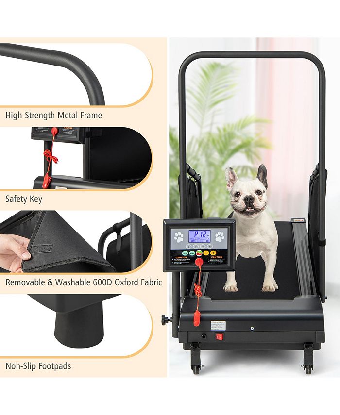 Costway Dog Treadmill for Small/Medium Dogs Indoors Pet Running ...