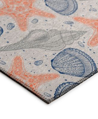 Seabreeze Washable SZ4 3'x5' Area Rug