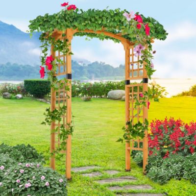 Elegant Garden Arbor A Statement of Beauty and Functionality
