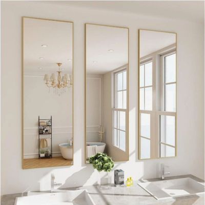 Rectangular Wall Mounted Mirror 16"x50" in Gold
