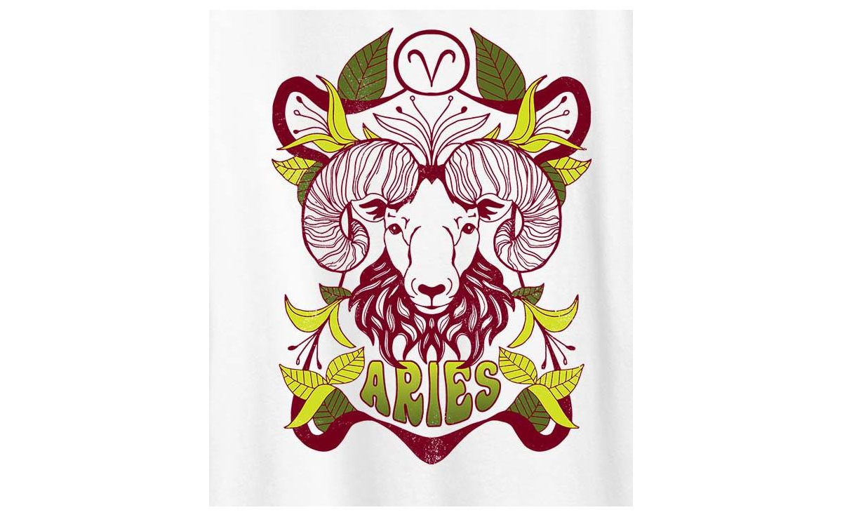 Hybrid Apparel Zodiac Aries Plus Size Graphic T-shirt In White