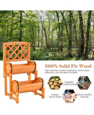 2-Tier Raised Garden Bed with 2 Cylindrical Planter Boxes and Trellis