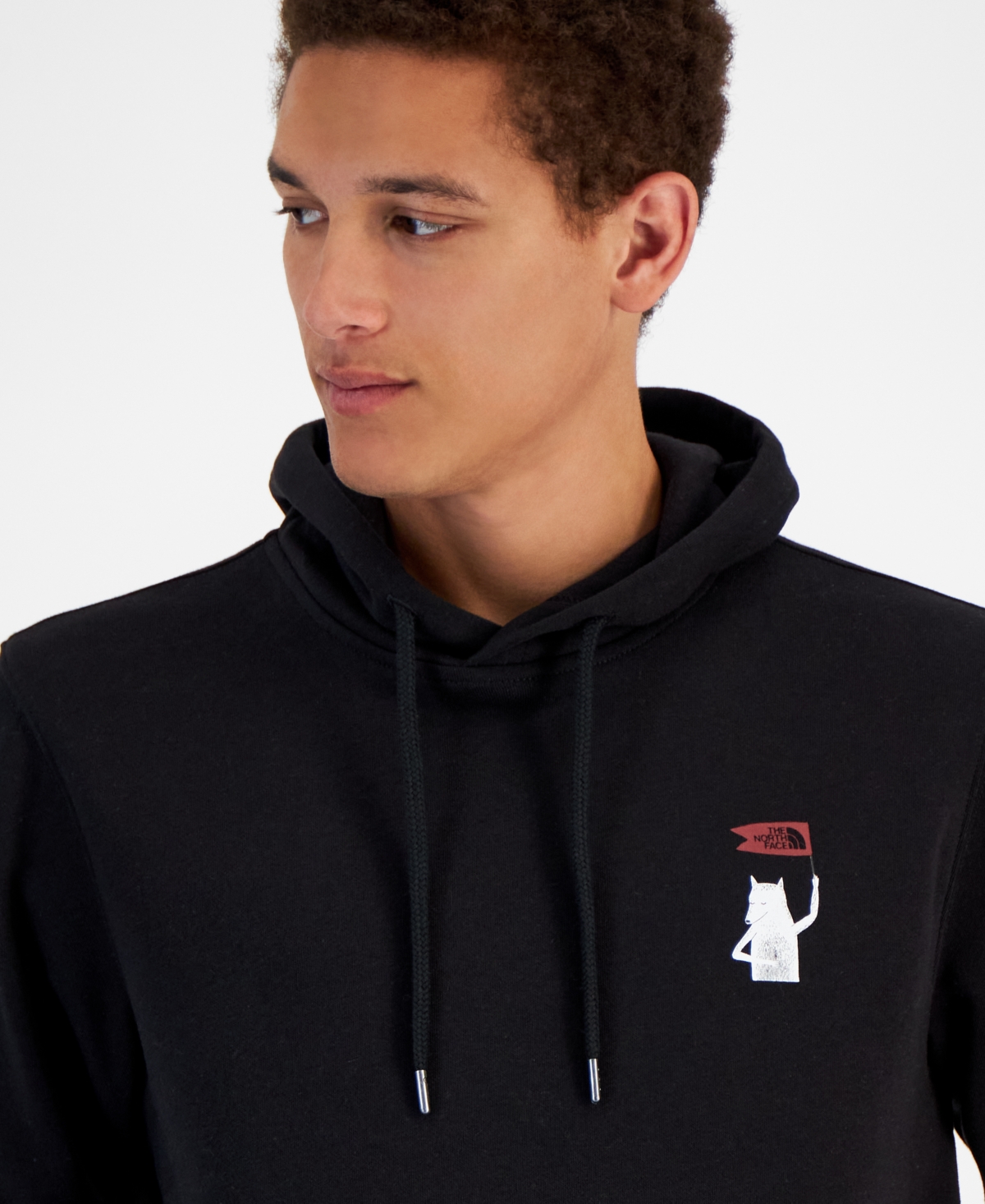 The North Face Men's Wolf Graphic Pullover Hoodie