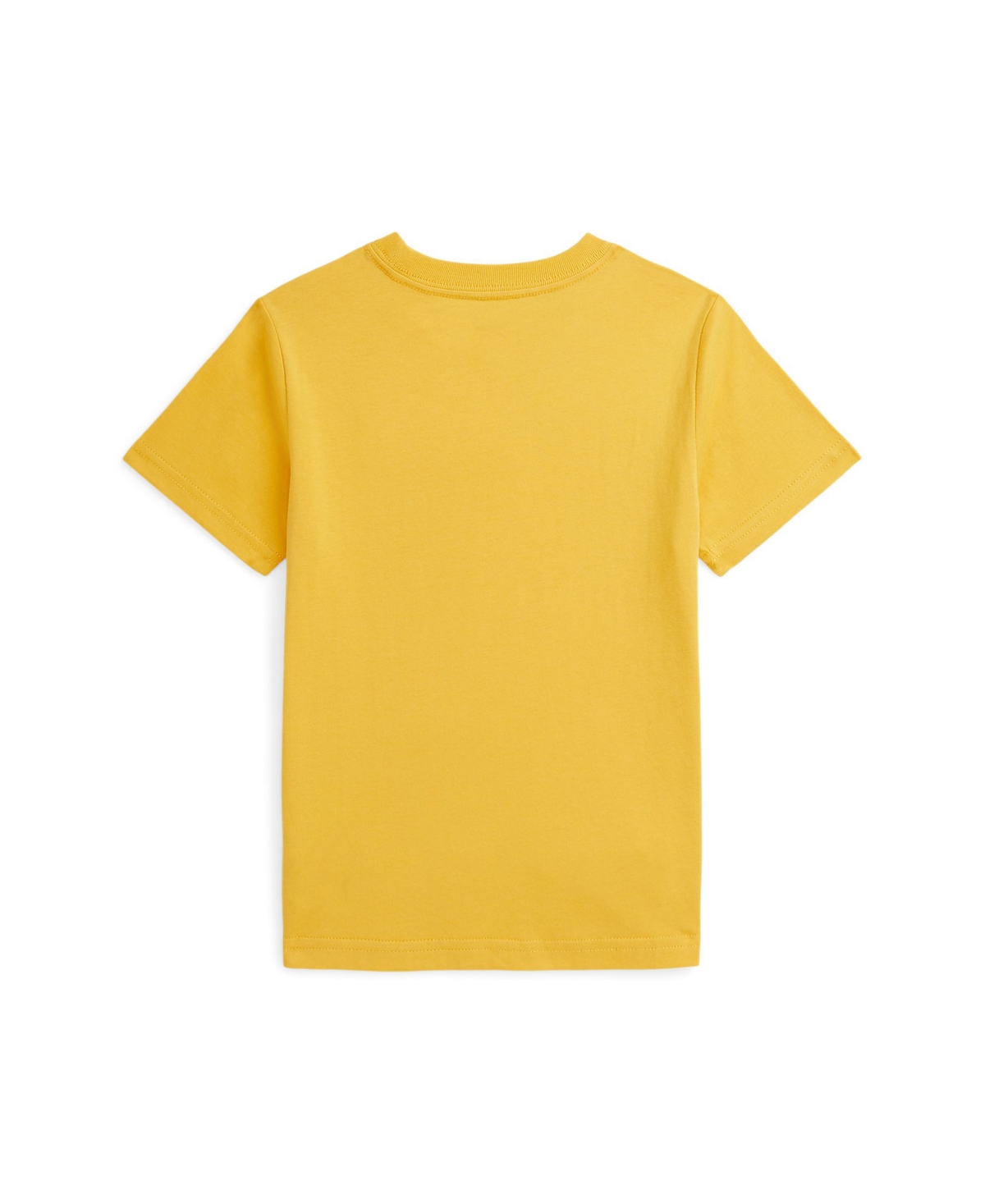 Polo Ralph Lauren Toddler And Little Boys Cotton Jersey Crewneck Tee In Flannel Orange