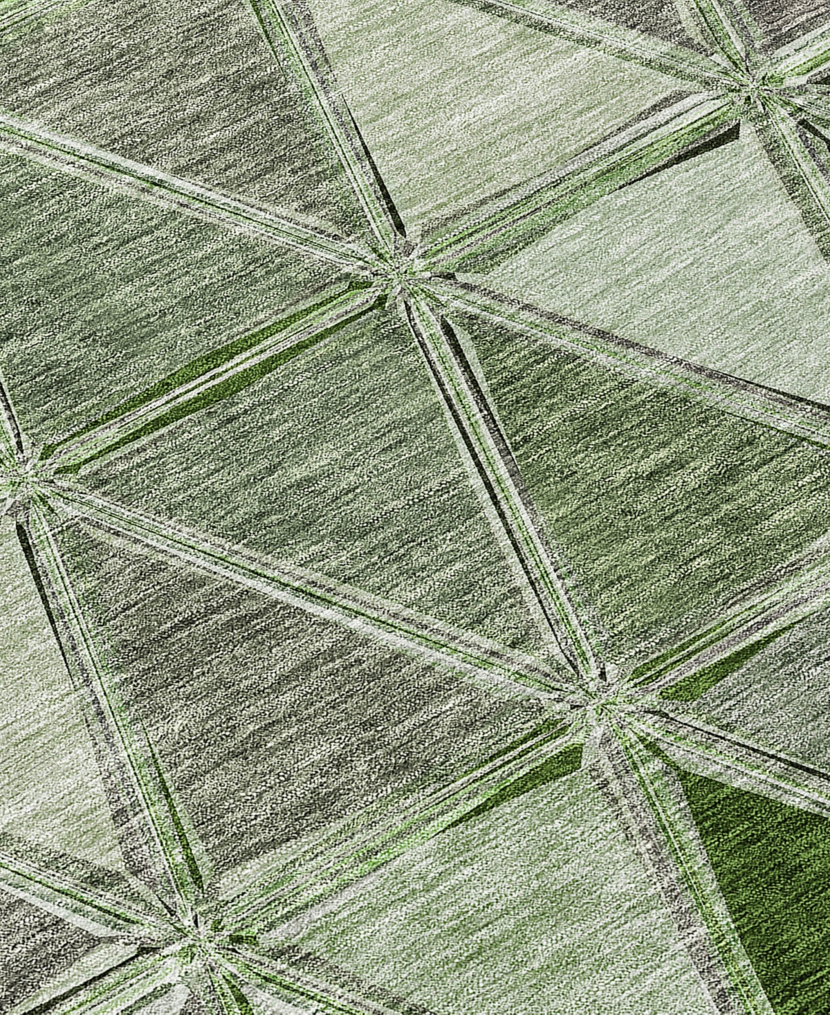 Addison Chantille Acn656 3'x5' Area Rug In Moss
