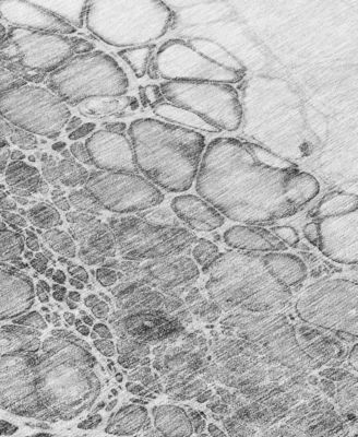 Chantille Machine Washable ACN707 5'x7'6" Area Rug