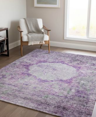 Chantille Machine Washable ACN675 8'x10' Area Rug