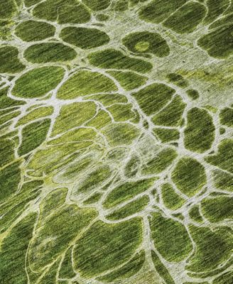 Chantille Machine Washable ACN652 5'x7'6" Area Rug