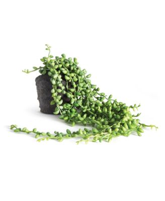Napa Home & Garden