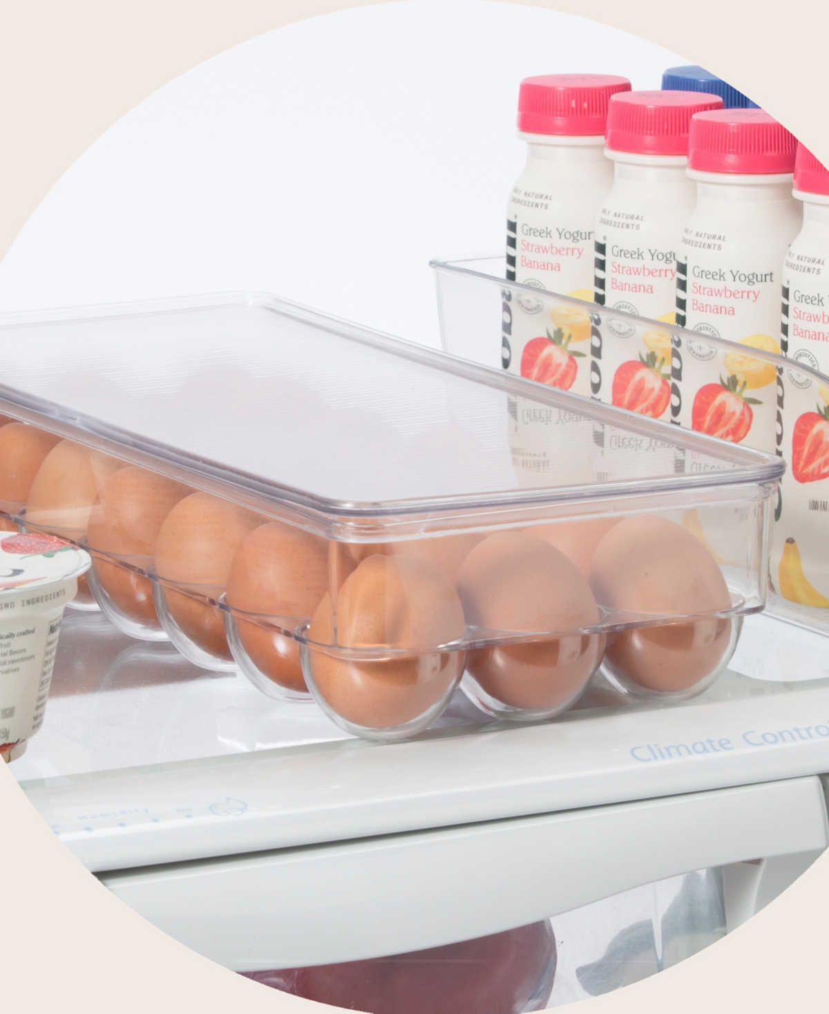 OGGI 21 EGG TRAY STACKABLE COVERED EGG HOLDER 
