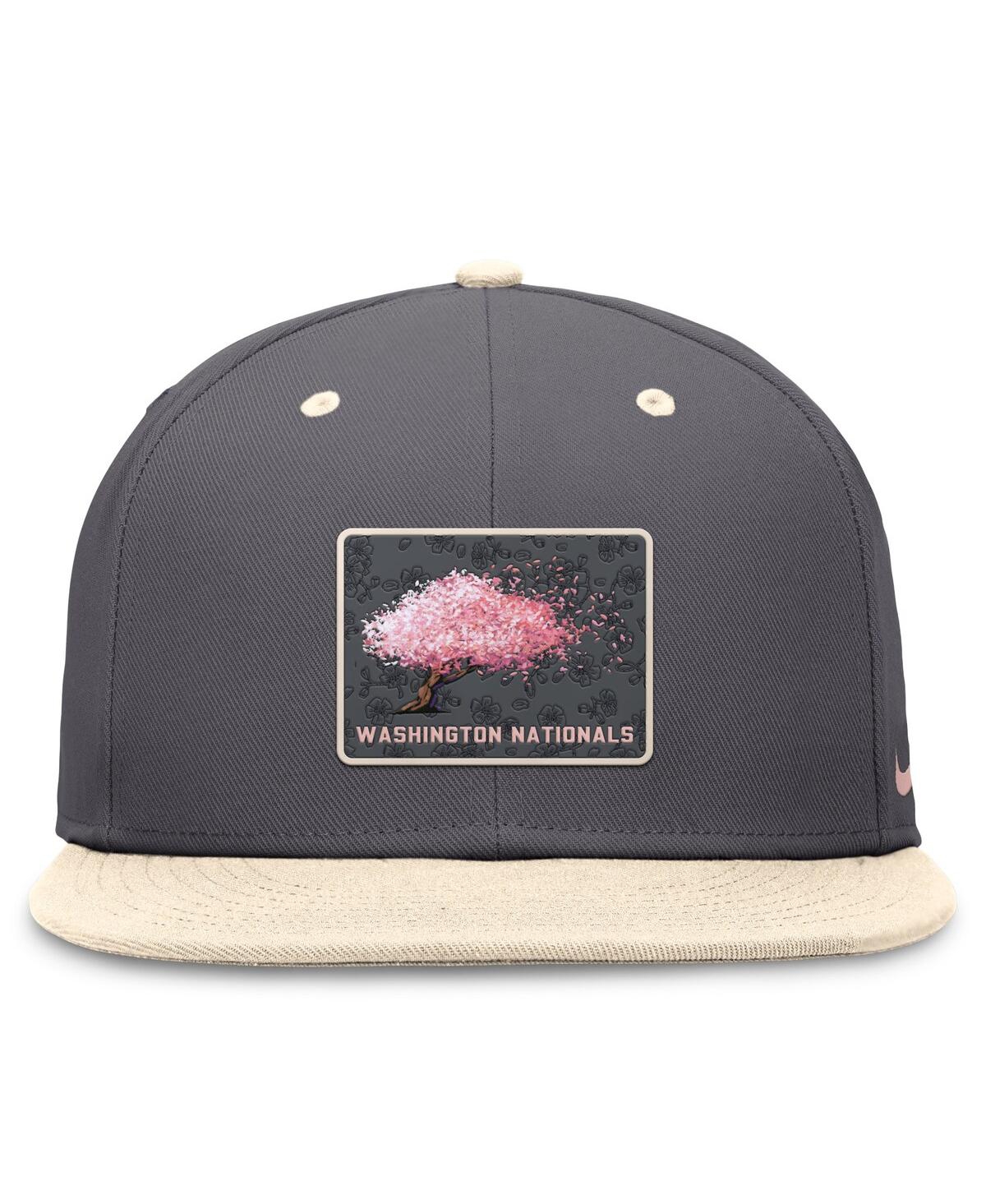 Nike Men's Graphite/natural Washington Nationals City Connect True Fitted Hat In Graphite,natural
