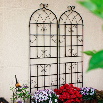 71" x 19.7" Metal Garden Trellis for Climbing Plants