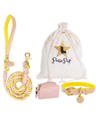 Pet Dog Collar - Sweetest Thing