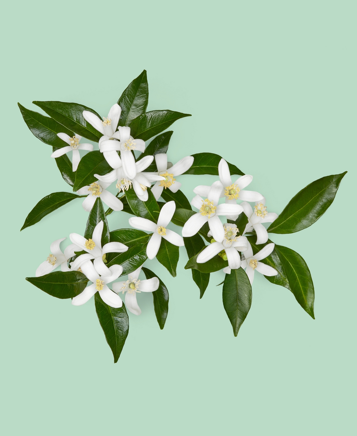 Gucci Men's 3-Pc. Guilty Pour Homme Essence Eau de Toilette Gift Set