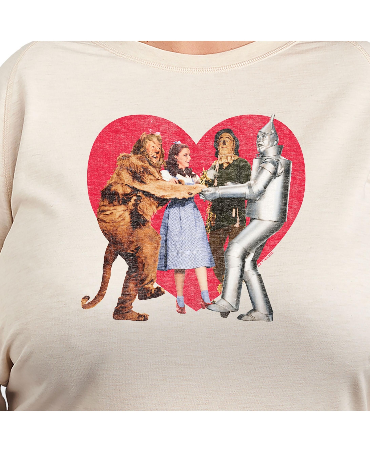 Hybrid Apparel Trendy Wizard Of oz Pullover Plus Size Graphic T-shirt In Beige,khaki