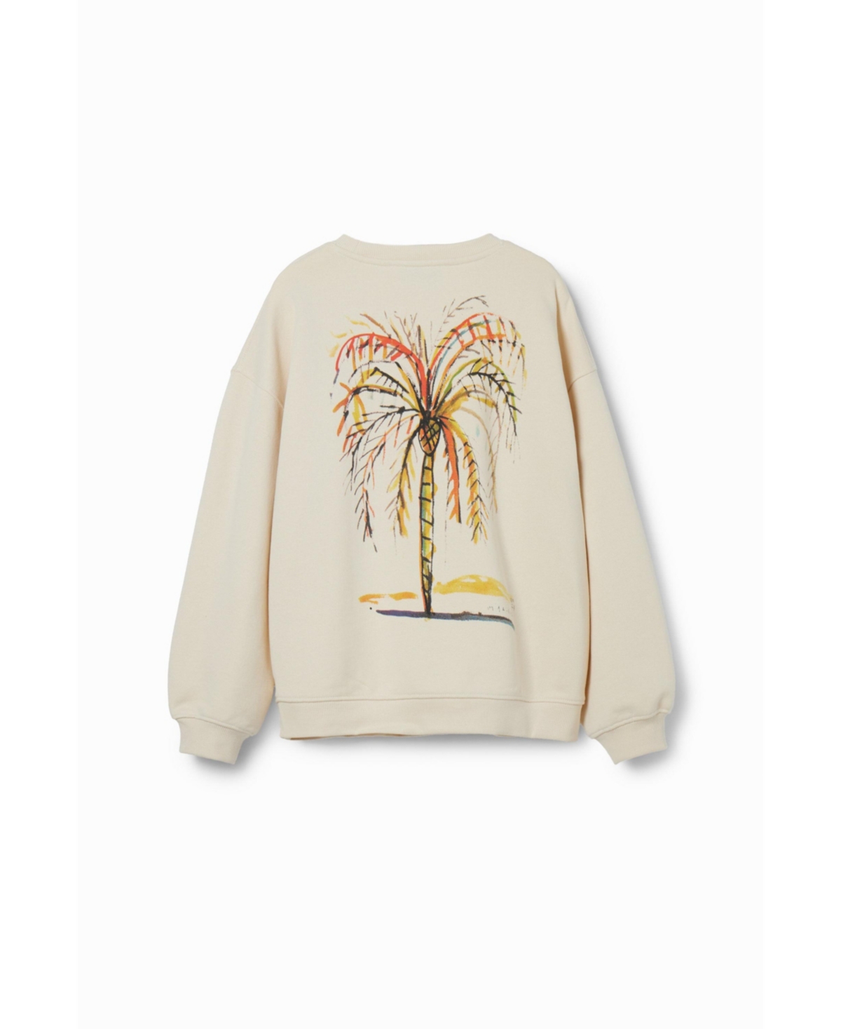 Desigual Boys Boys's Palm tree illustration sweatshirt
