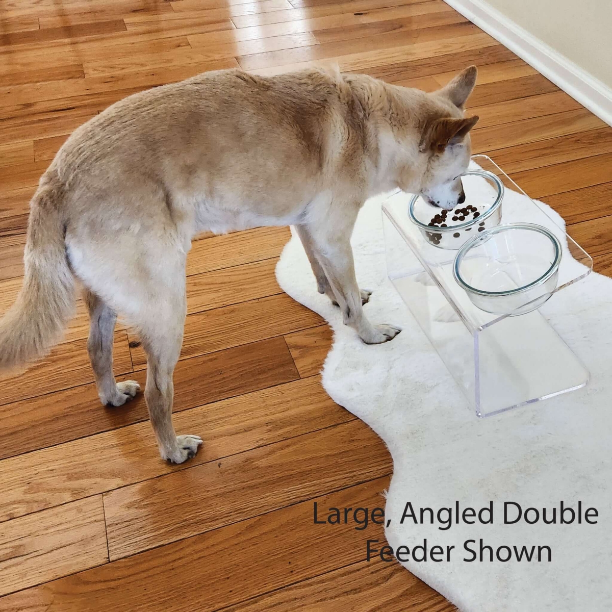 Clearly Loved Pets Modern Acrylic Glass Bowl Feeders, Angled Style, Single Bowl