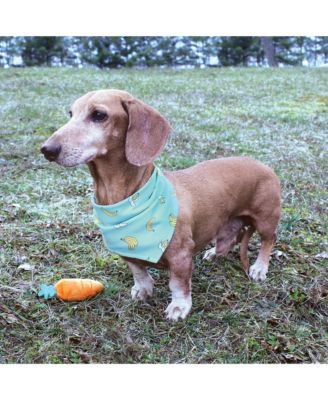 Reversible Pet Dog and Cat Bandana Bibs 2pk